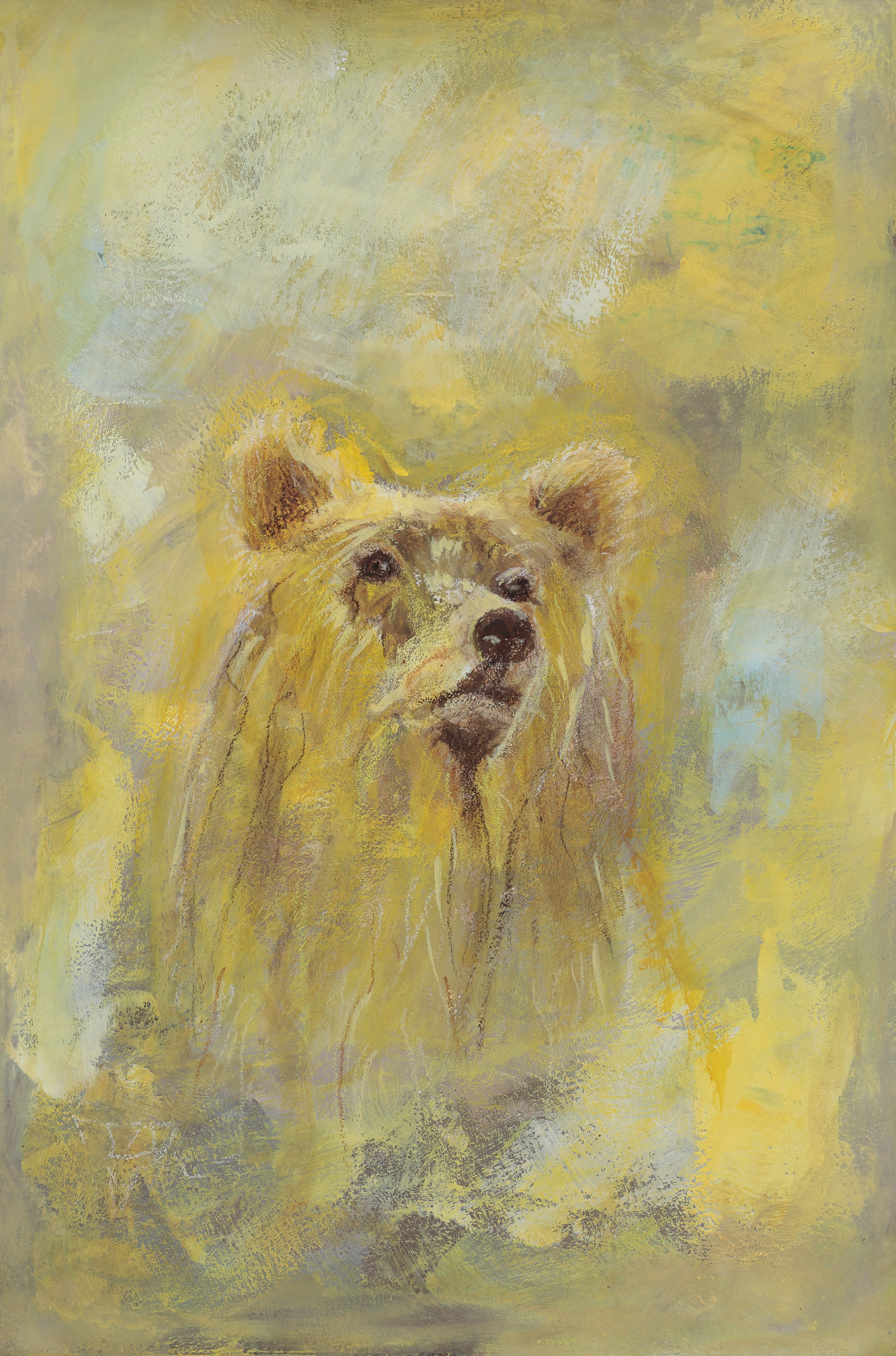 'Yellow Bear' Art Postcard with Envelope.