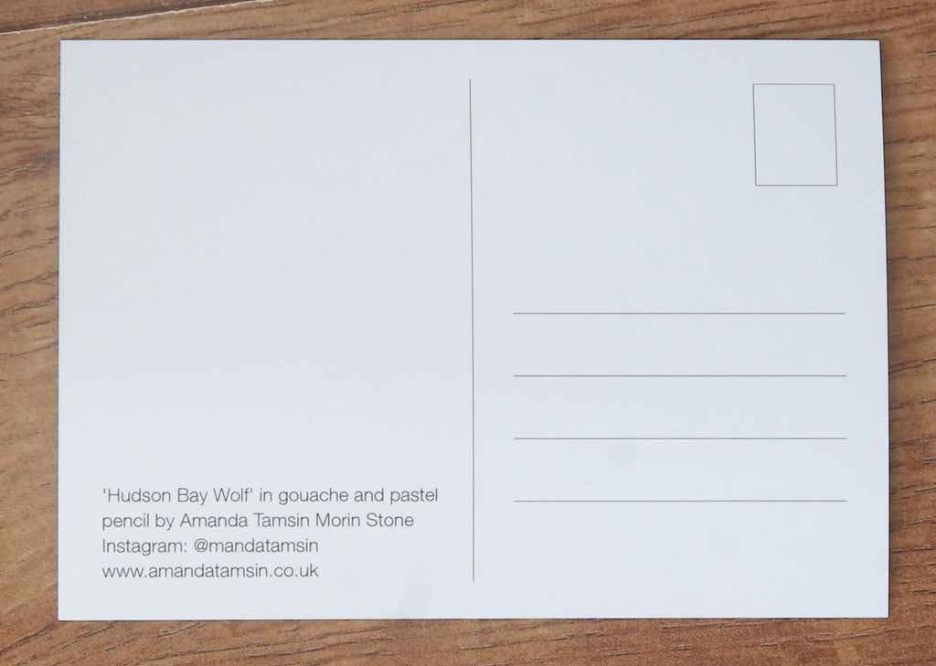 'Hudson Bay Wolf' Art Postcard with envelope.