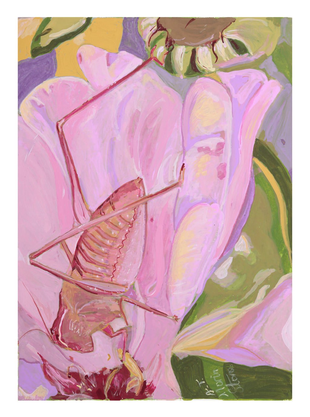 'Katydid' Original Work in Gouache on Paper