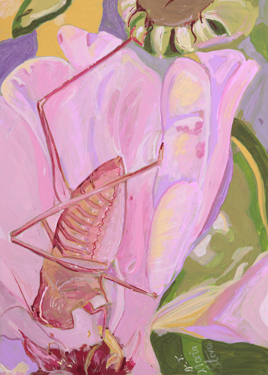 Pink Katydid grasshopper insect on a flower in mainly pink tones.  Background in greens, mauves and ochre.  Flower bud visible at top right.