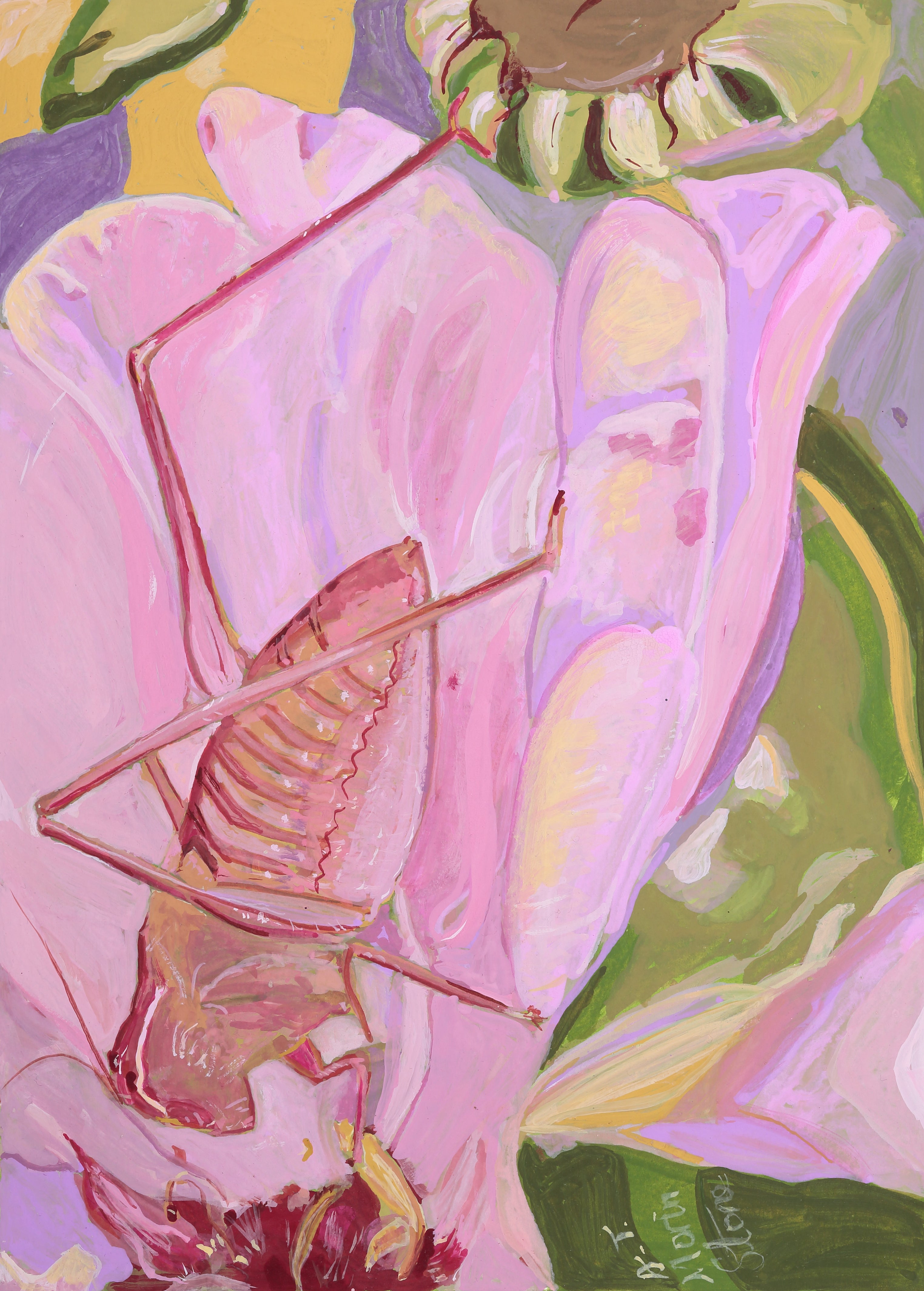 Pink Katydid grasshopper insect on a flower in mainly pink tones.  Background in greens, mauves and ochre.  Flower bud visible at top right.