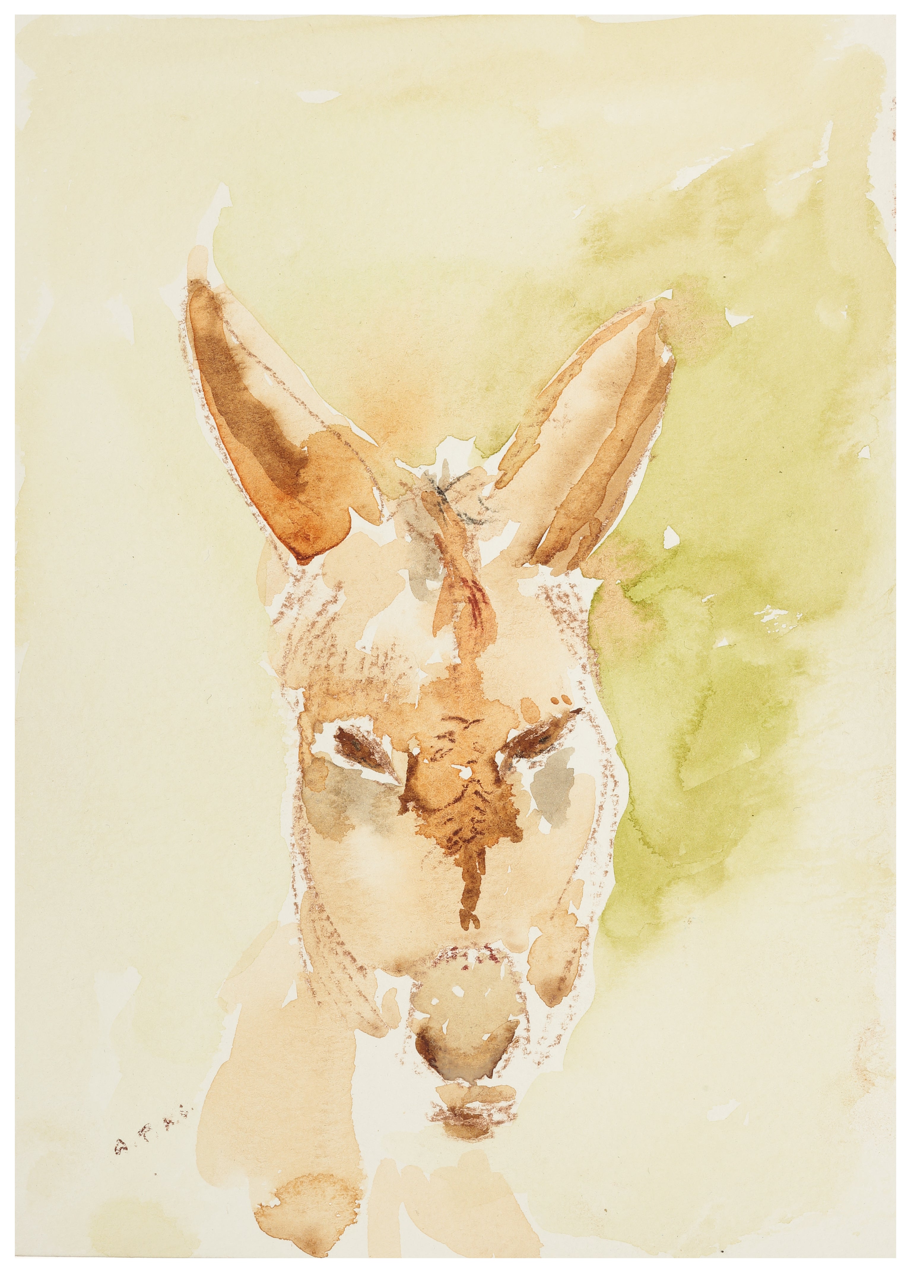 Watercolor portrait painting of a donkey on a light yellow-green background.