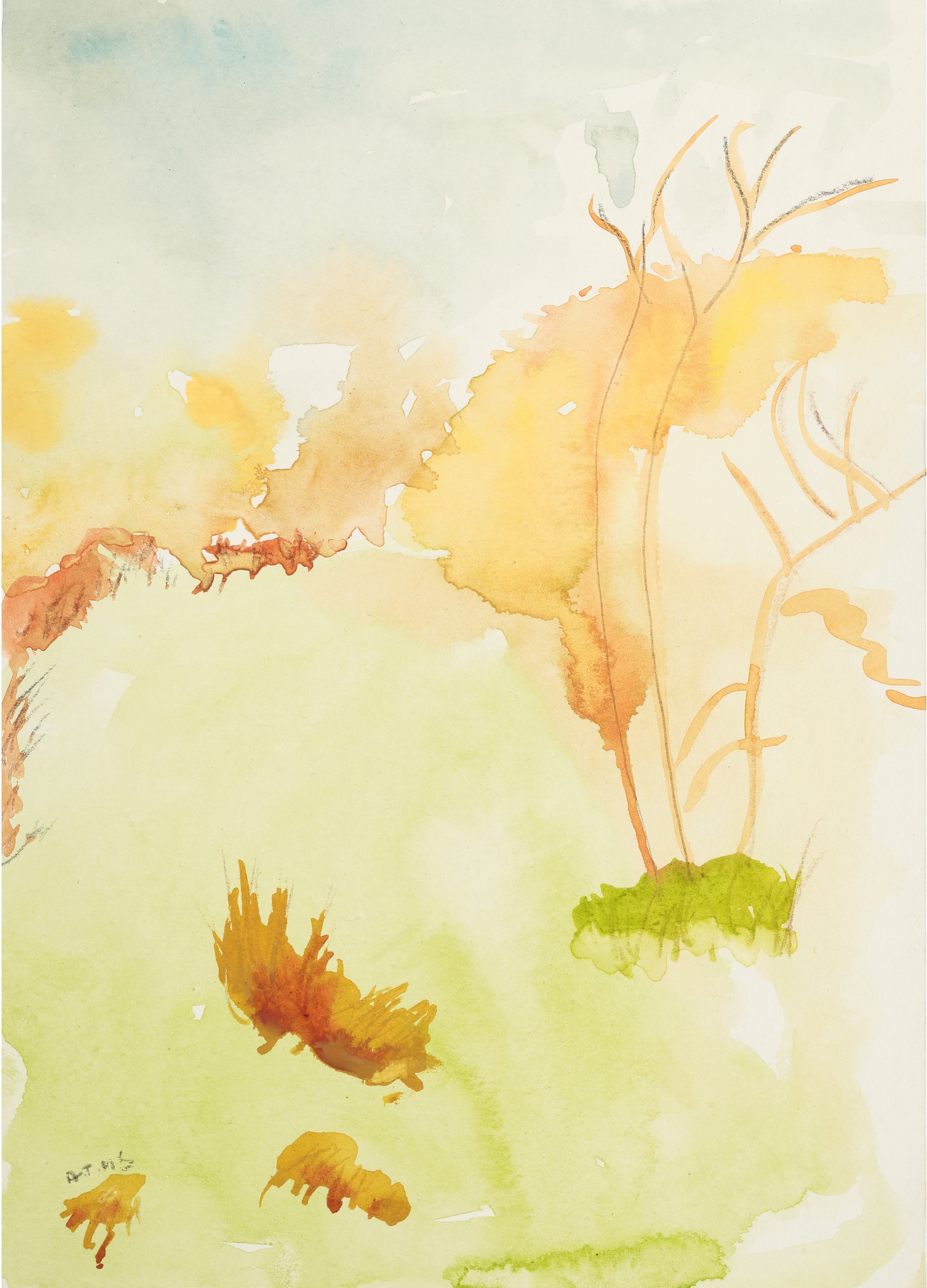 Watercolor painting of a landscape at sunset, with clearing, trees and foliage.