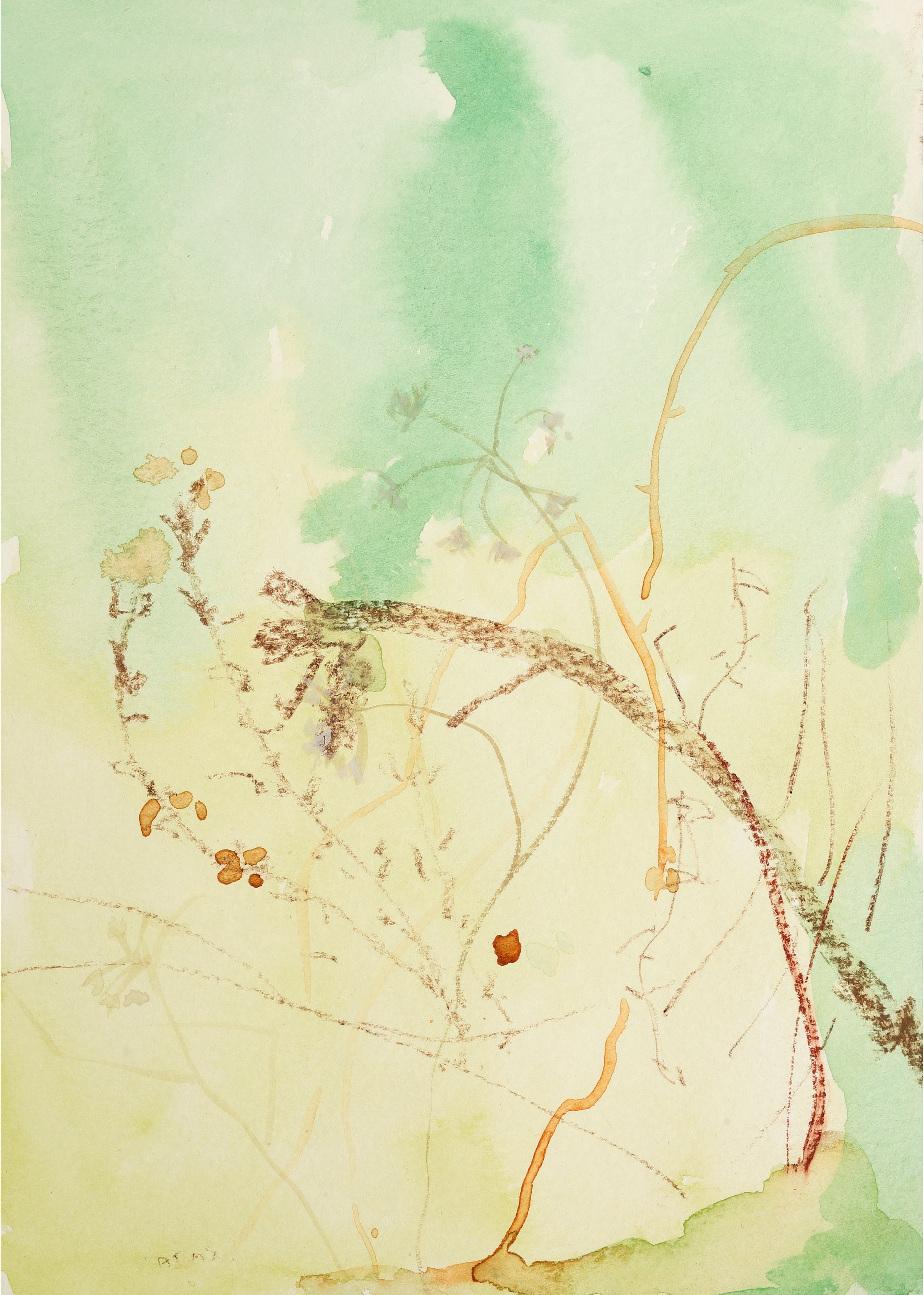 Watercolour painting of intertwining plants with leaves and flowers.