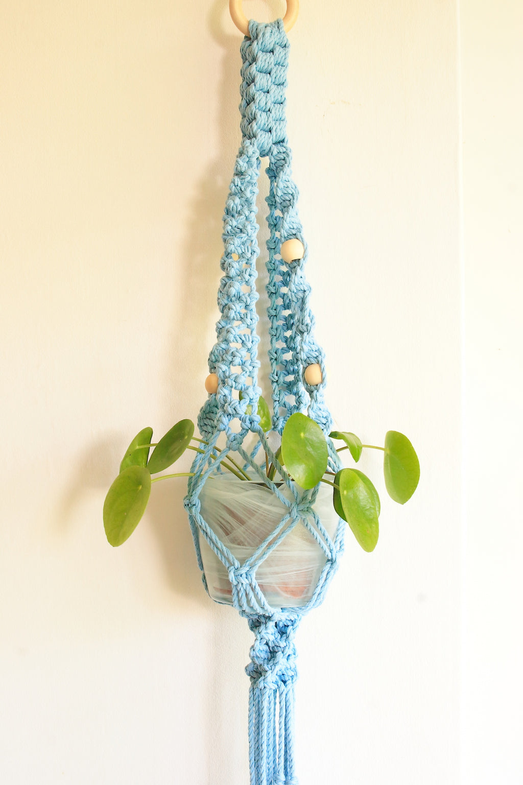 Macrame Planthanger Heavenly in Cotton Cord - Size Medium