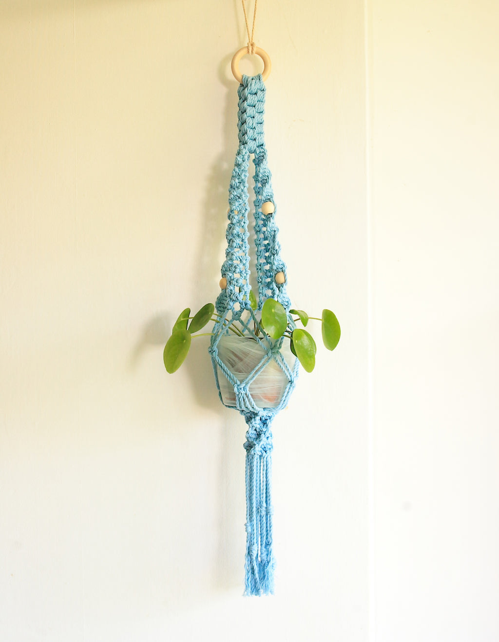 Macrame Planthanger Heavenly in Cotton Cord - Size Medium