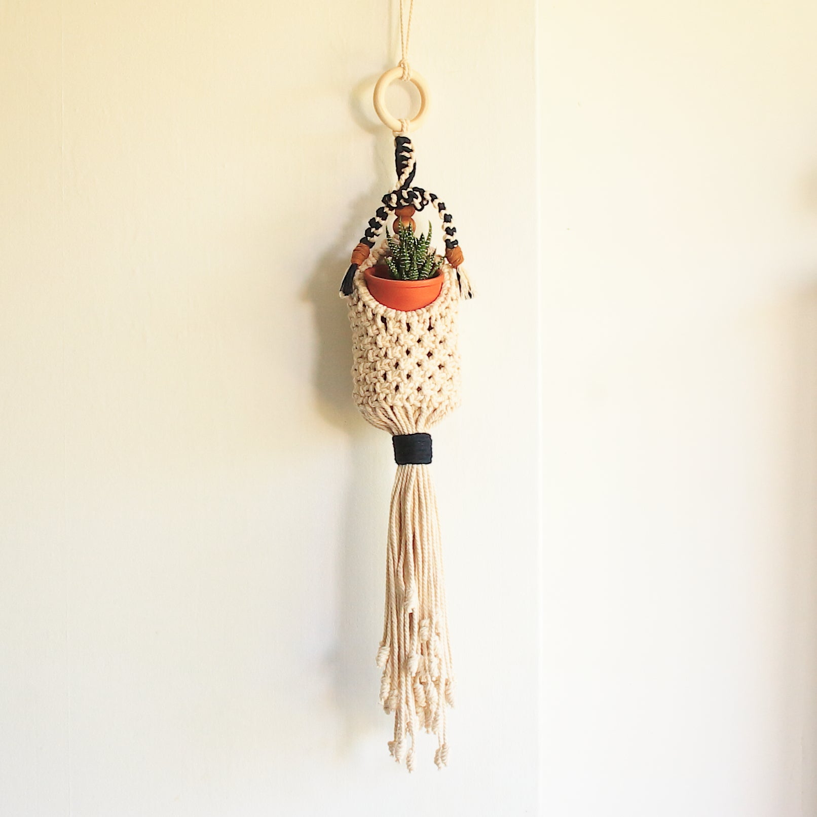 Macrame Plant Pod in Navy & Cream